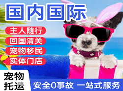 抚远东极航空托运国际宠物托运 【国